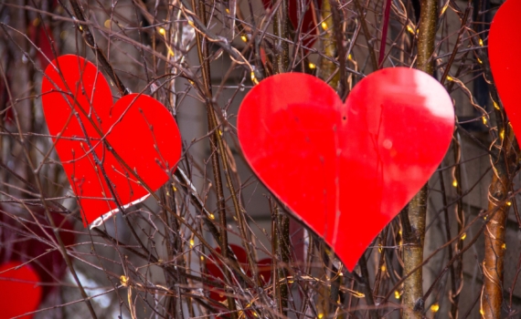 Анфиса Чехова показала трогательные кадры со всеми мужьями: что это значит? Ответ удивит