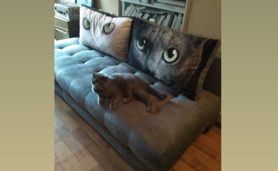 Диван плохо пахнет? Как быстро и эффективно убрать запах кошачьей мочи из дома Диван плохо пахнет? Как быстро и эффективно убрать запах кошачьей мочи из дома