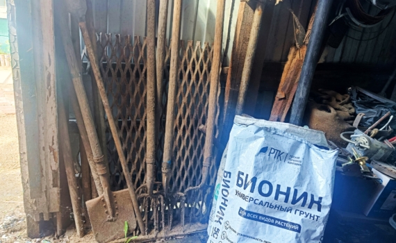 Забыли садовый инвентарь под дождем? Не спешите выбрасывать заржавевшую лопату: можно вернуть ее к работе Забыли садовый инвентарь под дождем? Не спешите выбрасывать заржавевшую лопату: можно вернуть ее к работе